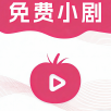 ethTV去广告纯净版下载